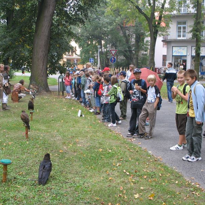 obrázok