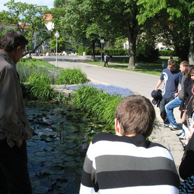 obrázok