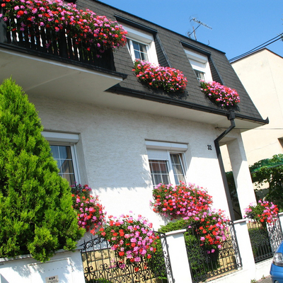 obrázok